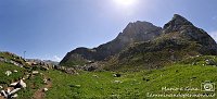 032 Sentiero dei fiori - Passo Val Vedra - Corna Piana